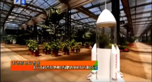 北京研學(xué)營 故宮600年歷史與果蔬種植實踐體驗